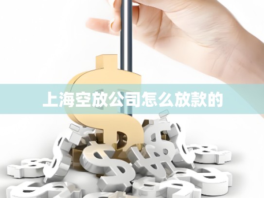 上海空放公司怎么放款的