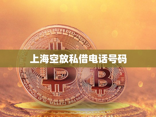 上海空放私借电话号码