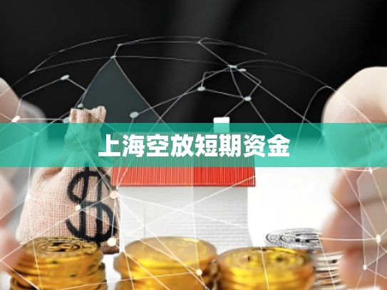 上海空放短期资金