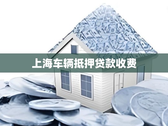 上海车辆抵押贷款收费