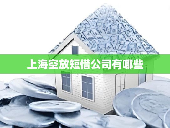 上海空放短借公司有哪些