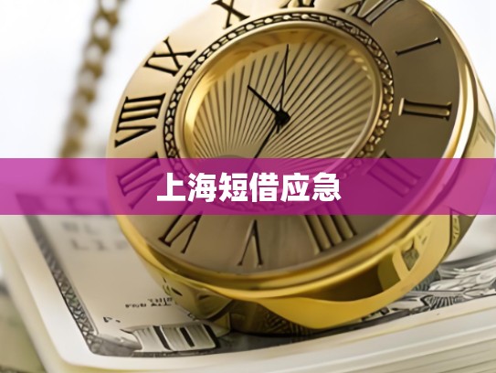 上海短借应急