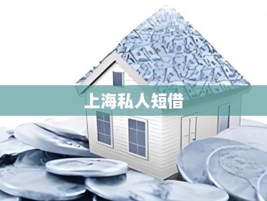上海私人短借